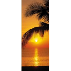 2-1255 Palmy Beach Sunrise