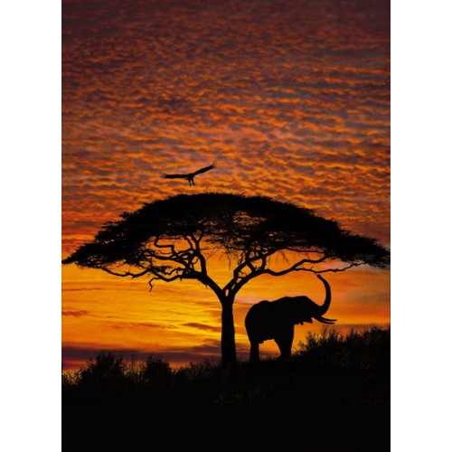 4-501 African Sunset